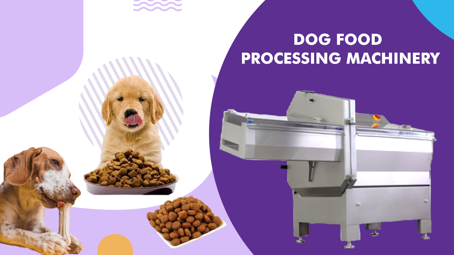 https://www.prestoprecisionplus.com/image/cache/catalog/Dog%20Food%20Processing%20Machinery-1920x1080.png